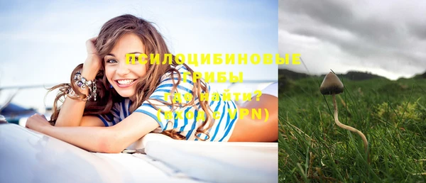 марки nbome Аркадак