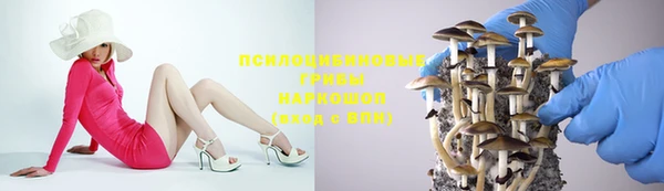 амф Арсеньев