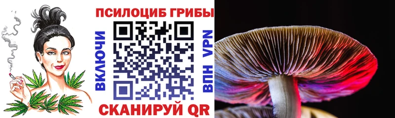 Галлюциногенные грибы Psilocybe  Отрадная 
