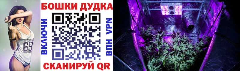 наркота  Отрадная  Канабис марихуана 